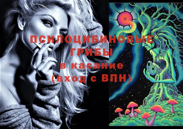 МДПВ Гусь-Хрустальный