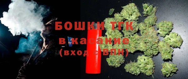 молекула духа Гусиноозёрск