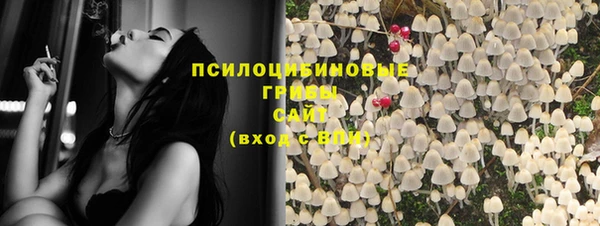молекула духа Гусиноозёрск