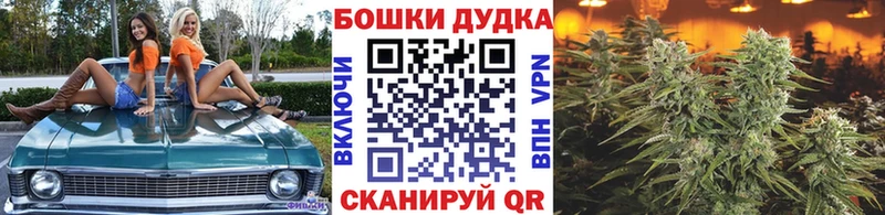 Канабис AK-47  цены   Коломна 